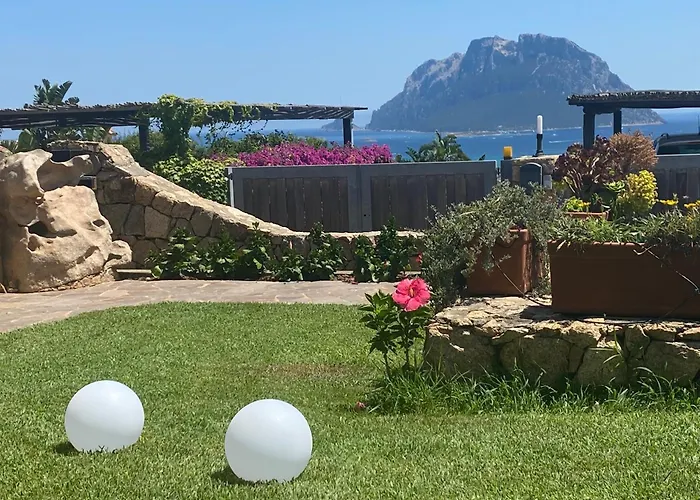Claude&Kate'S Dream House